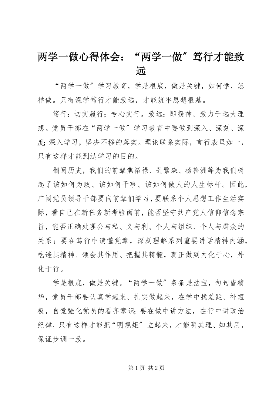 2023年两学一做心得体会“两学一做”笃行才能致远.docx_第1页