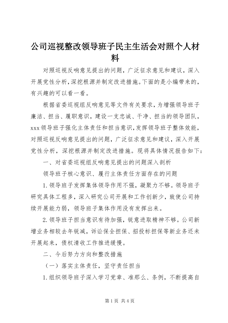 2023年公司巡视整改领导班子民主生活会对照个人材料.docx_第1页