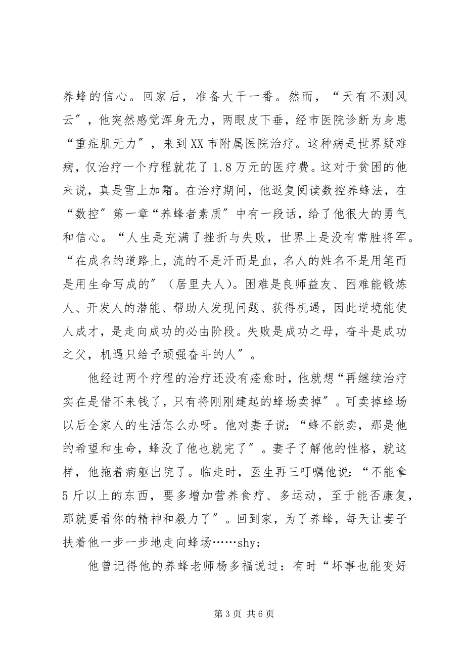 2023年致富能手事迹材料.docx_第3页