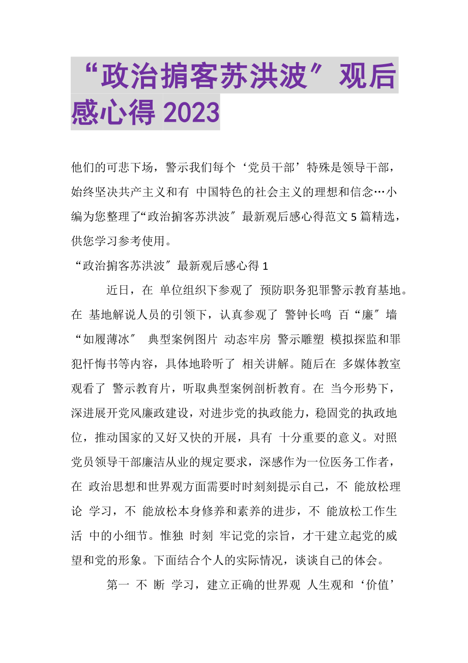 2023年政治掮客苏洪波观后感心得20XX.doc_第1页