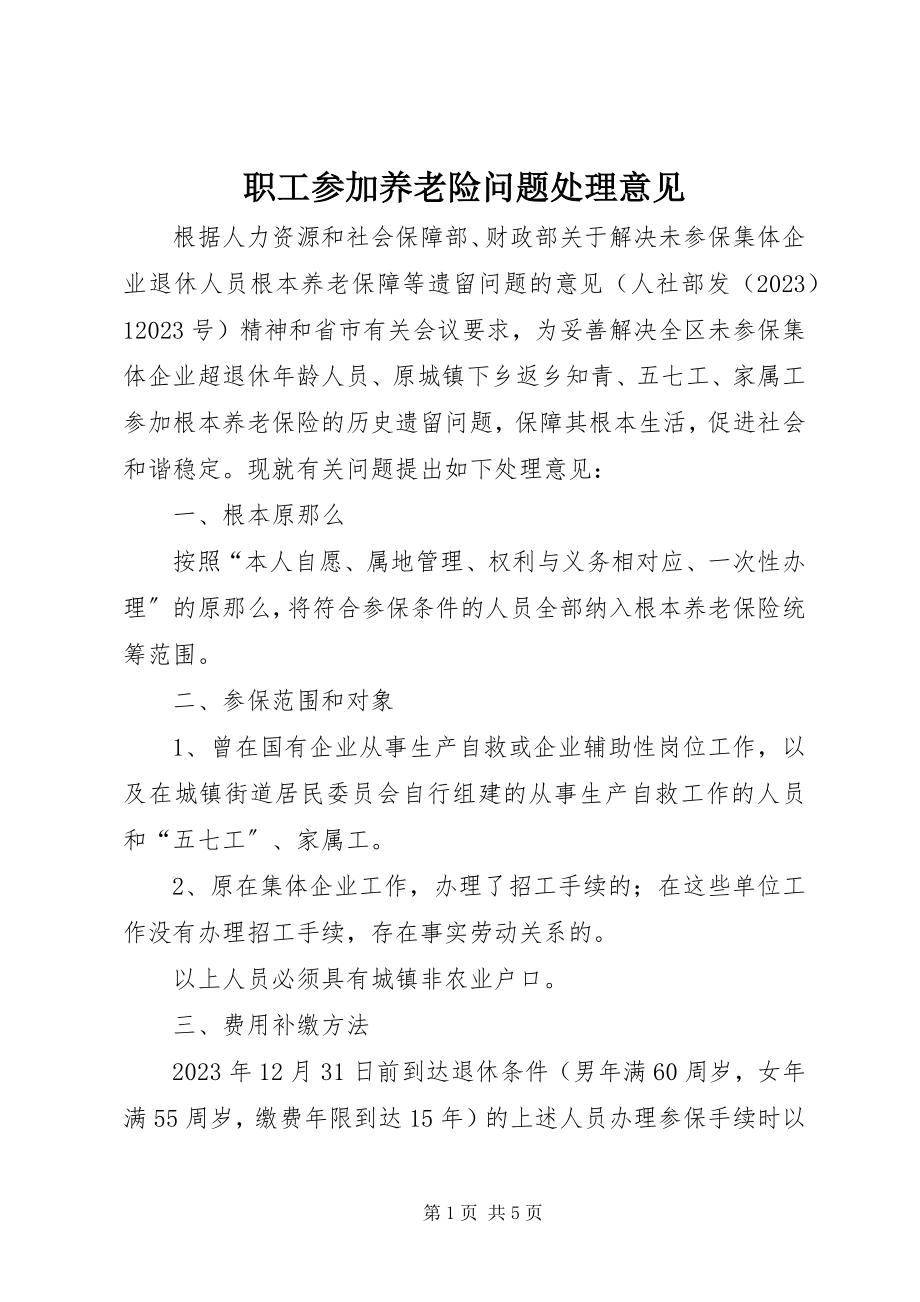 2023年职工参加养老险问题处理意见.docx_第1页