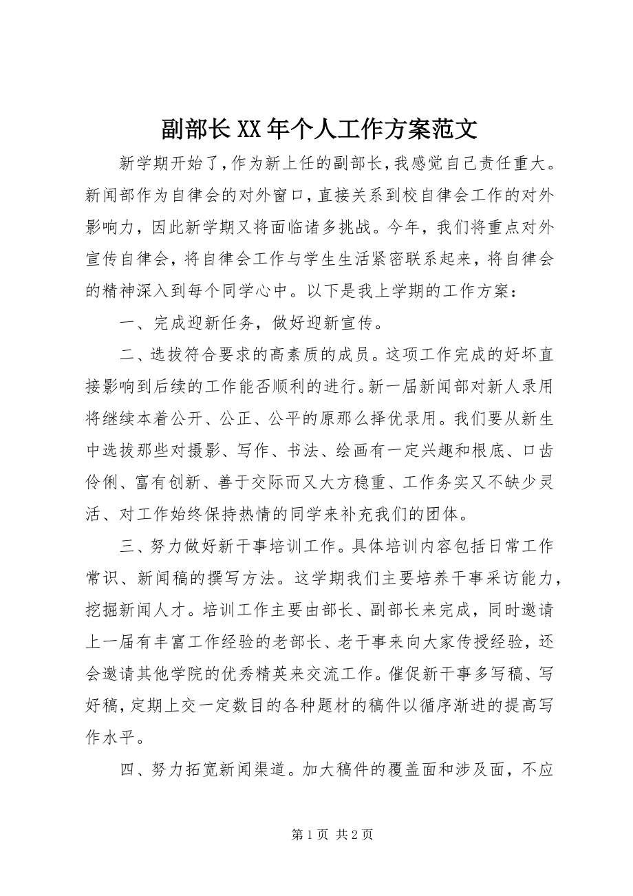 2023年副部长某年个人工作计划.docx_第1页