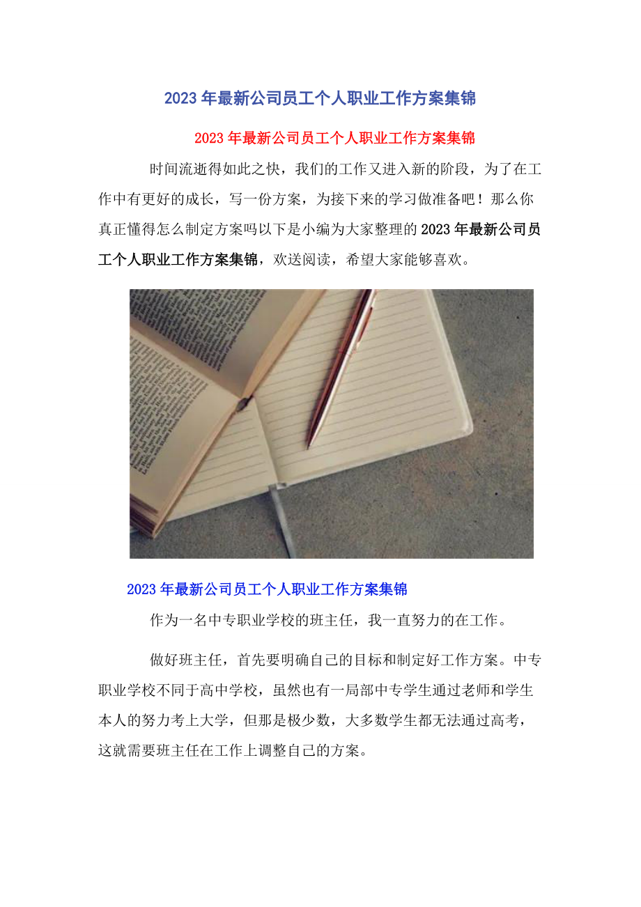 2023年公司员工个人职业工作计划集锦2.docx_第1页