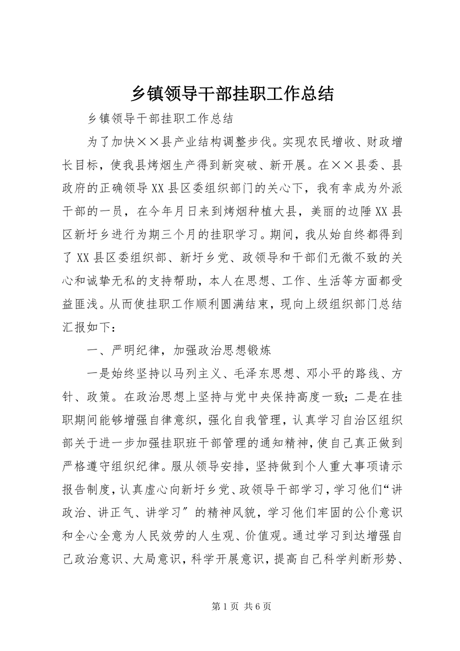 2023年乡镇领导干部挂职工作总结.docx_第1页