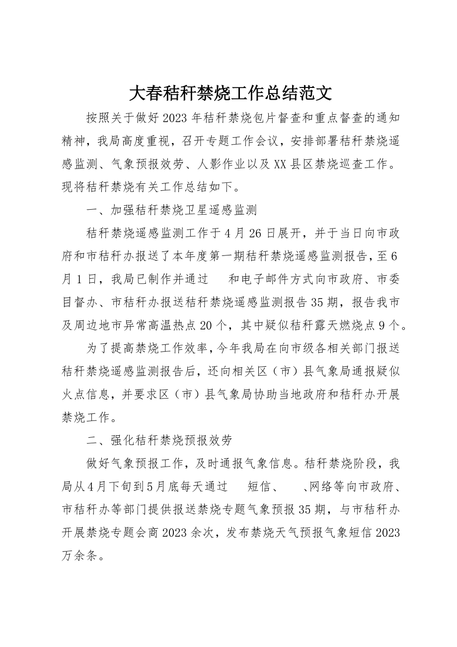 2023年大春秸秆禁烧工作总结新编.docx_第1页