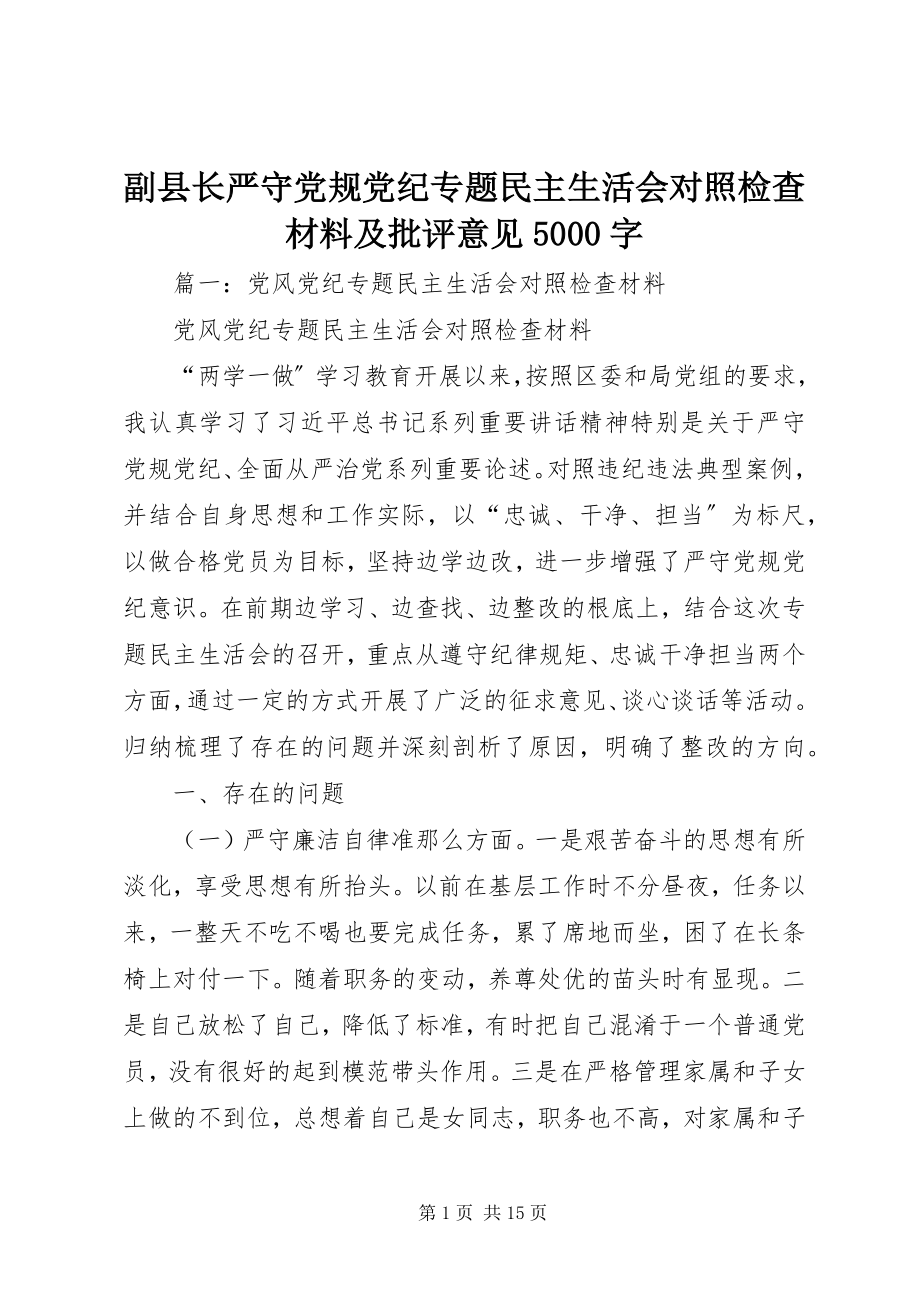 2023年副县长严守党规党纪专题民主生活会对照检查材料及批评意见5000字.docx_第1页