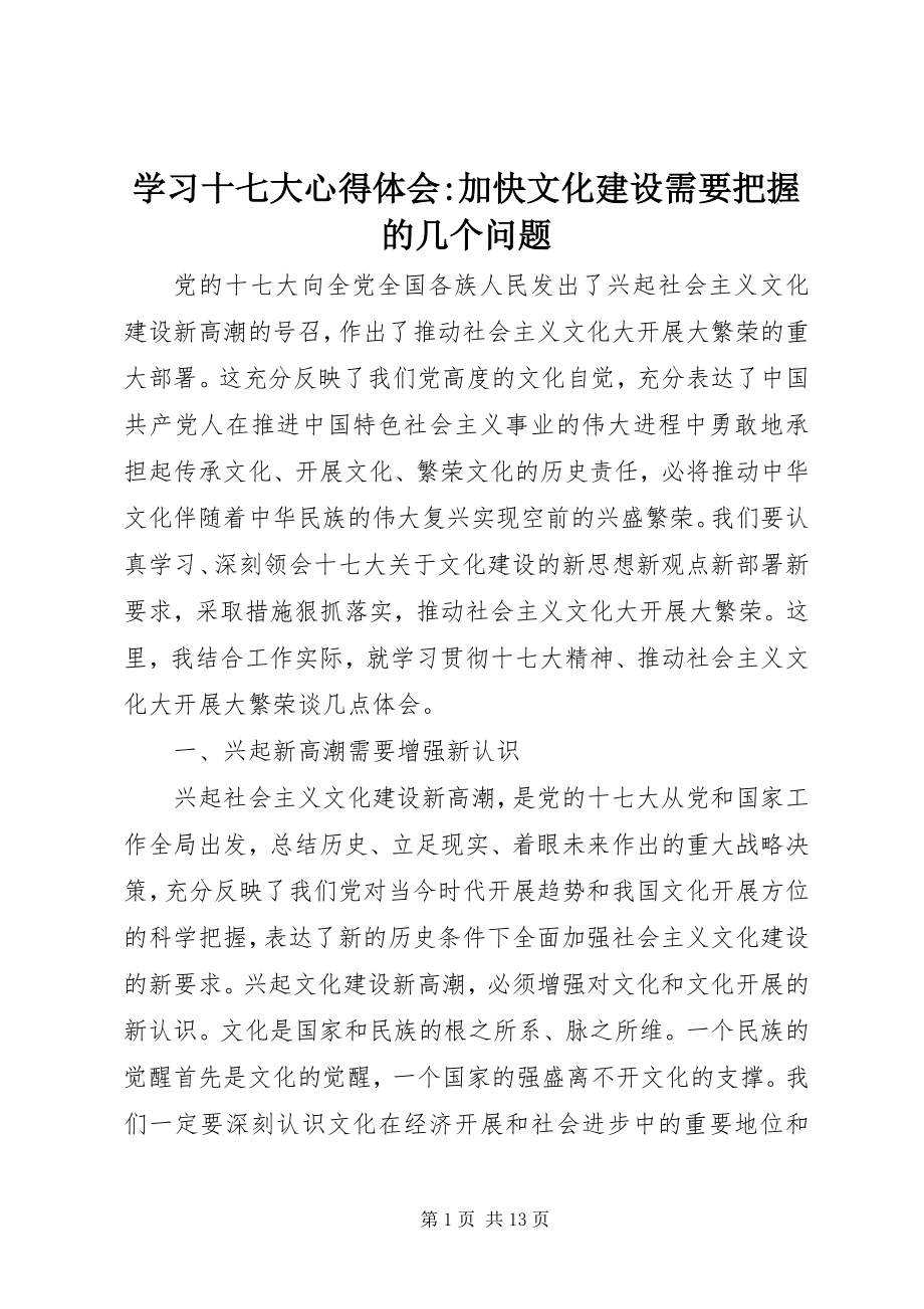 2023年学习十七大心得体会加快文化建设需要把握的几个问题.docx_第1页