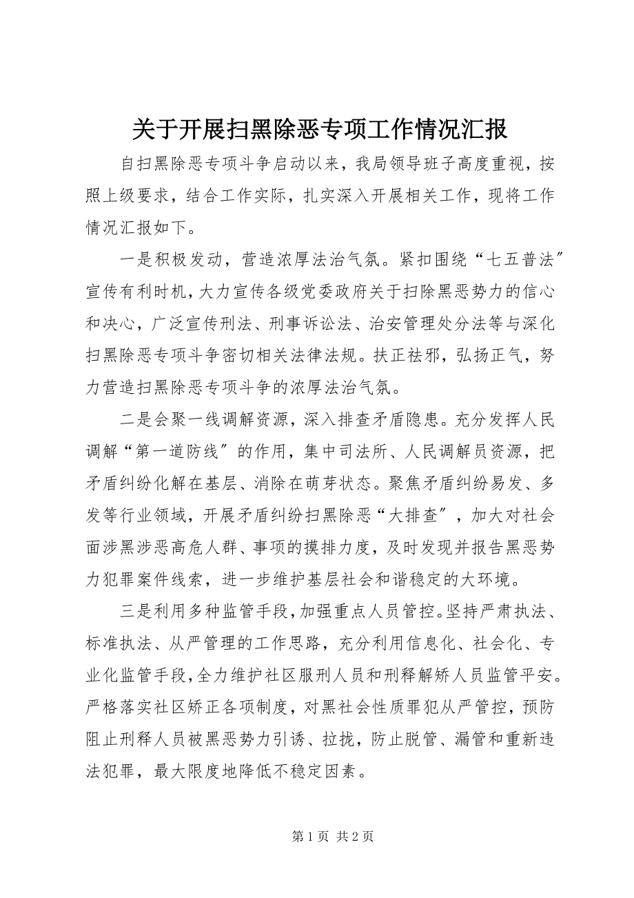 2023年开展扫黑除恶专项工作情况汇报.docx_第1页