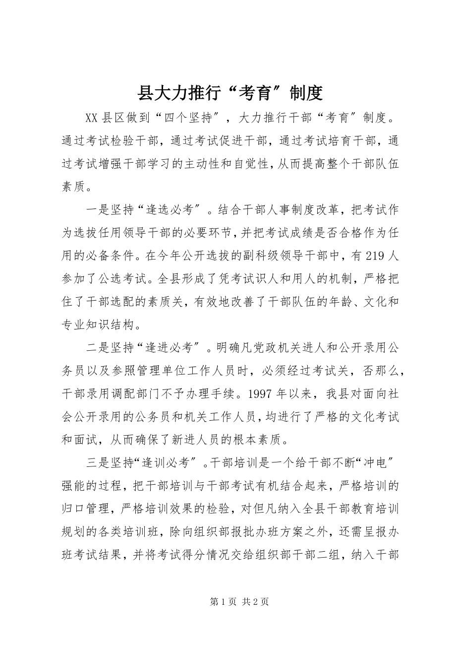 2023年县大力推行“考育”制度.docx_第1页