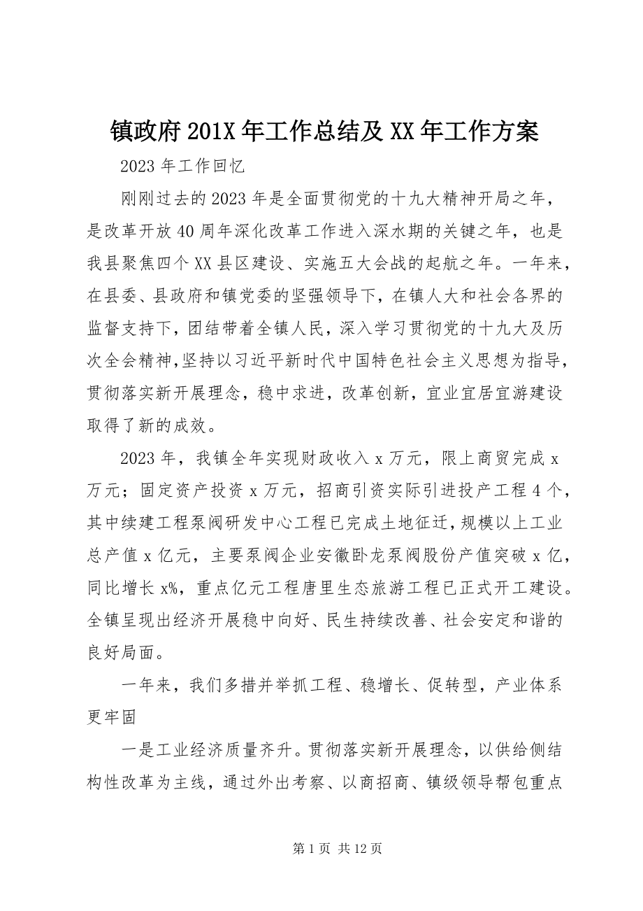 2023年镇政府工作总结及工作计划2.docx_第1页