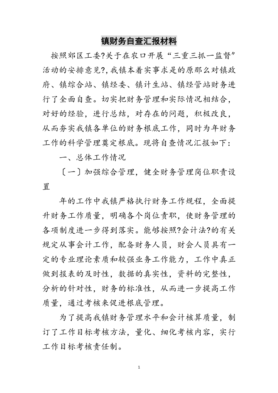 2023年镇财务自查汇报材料范文.doc_第1页