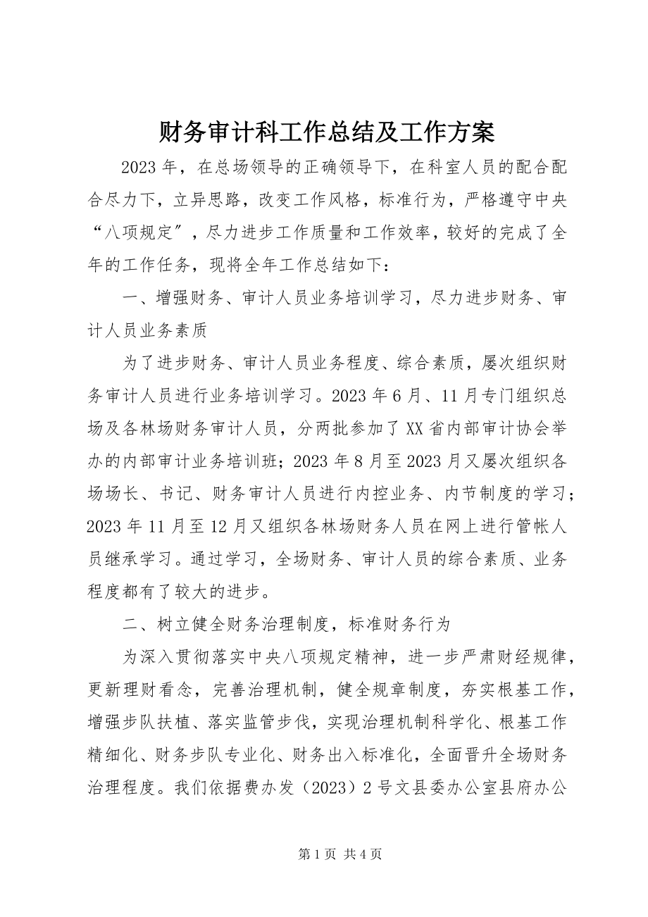 2023年财务审计科工作总结及工作计划.docx_第1页