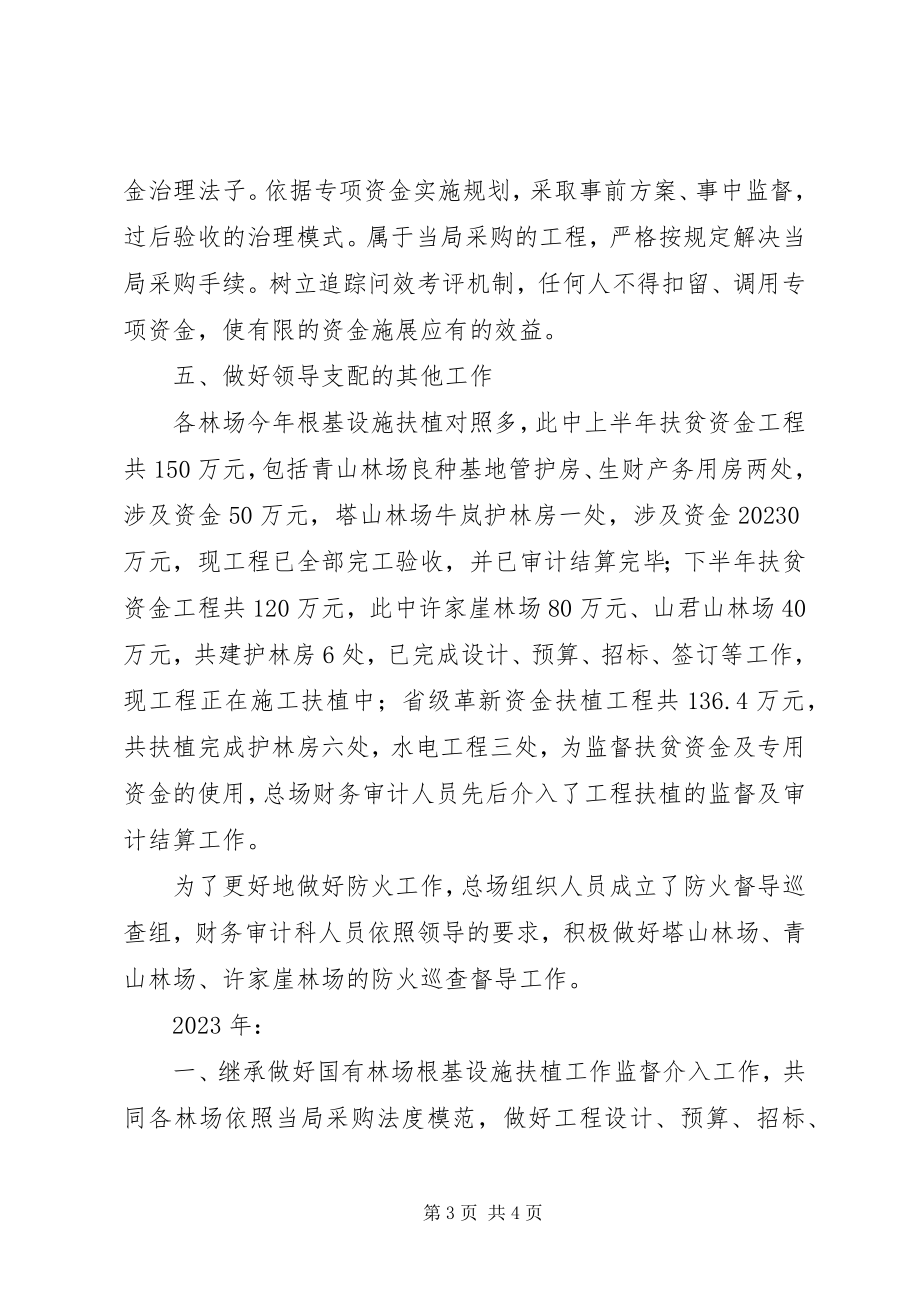 2023年财务审计科工作总结及工作计划.docx_第3页