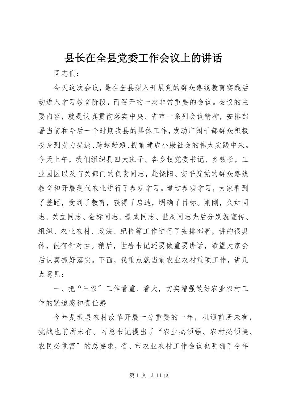 2023年县长在全县党委工作会议上的致辞.docx_第1页