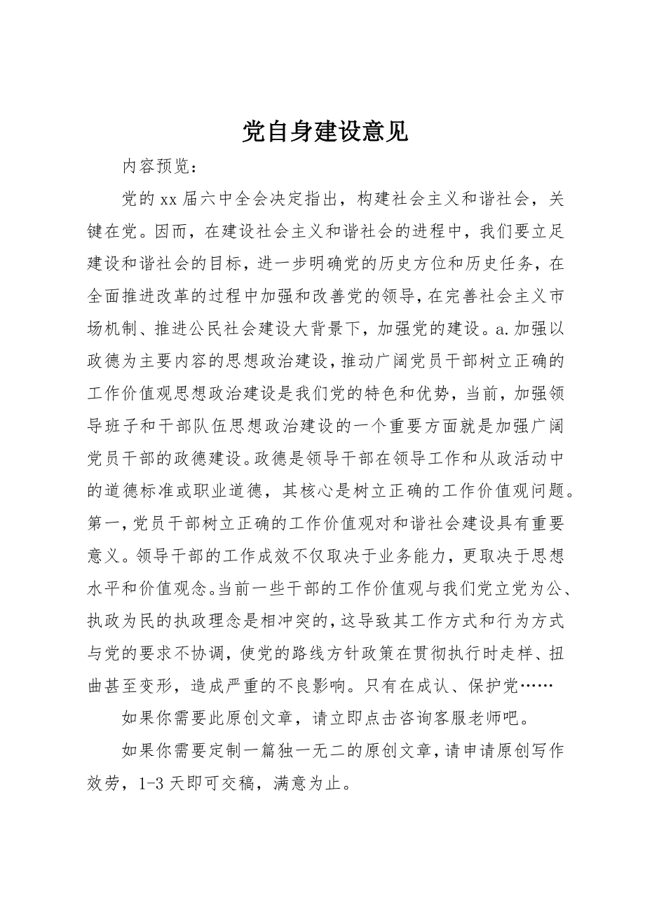 2023年党自身建设意见.docx_第1页