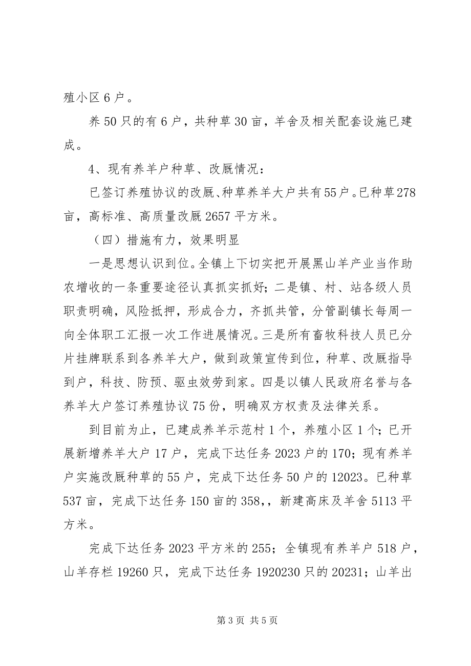 2023年乡镇发展黑山羊产业自检自查总结汇报.docx_第3页