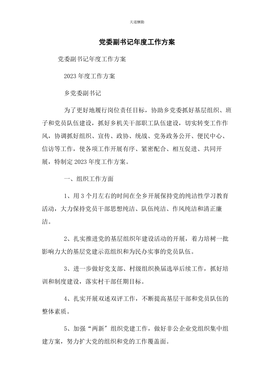 2023年党委副书记度工作计划.docx_第1页