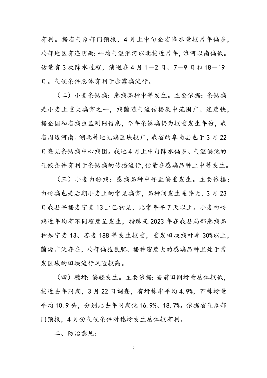 2023年小麦主要病虫发生趋势及防治意见.docx_第2页