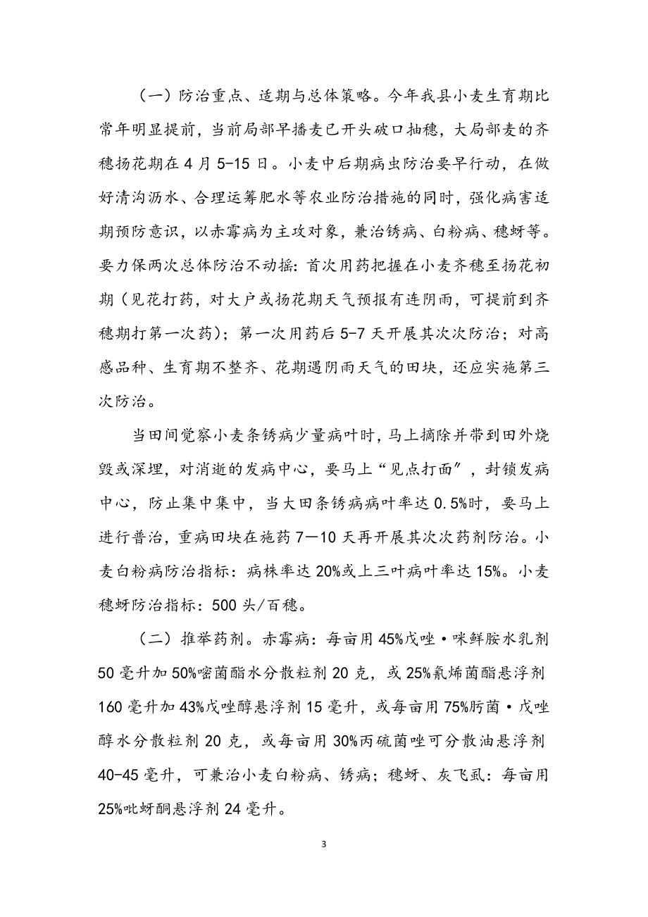 2023年小麦主要病虫发生趋势及防治意见.docx_第3页