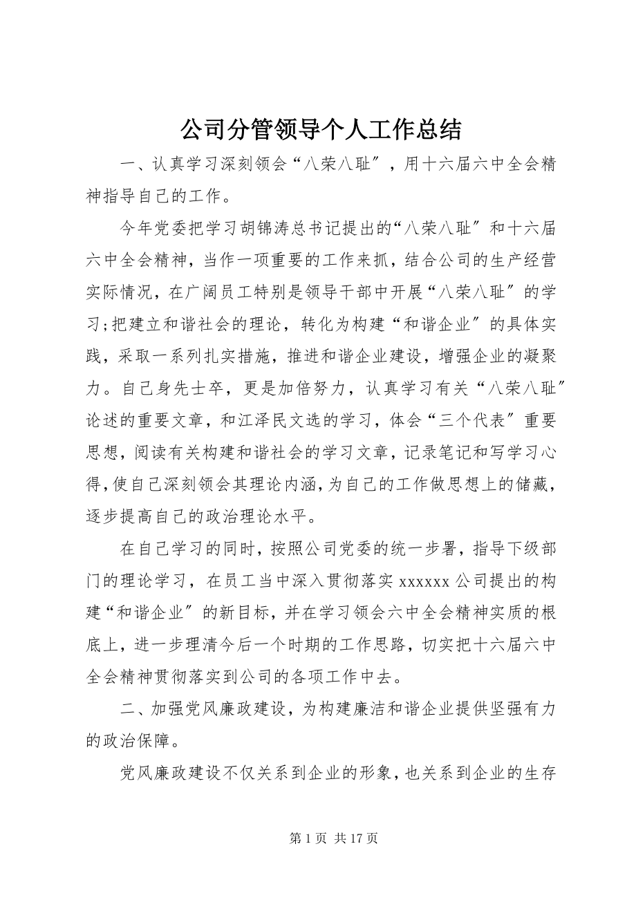 2023年公司分管领导个人工作总结.docx_第1页