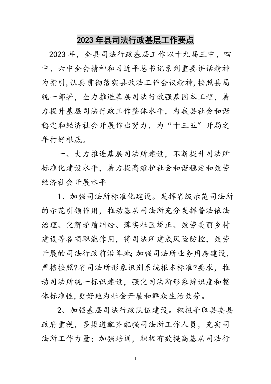 2023年年县司法行政基层工作要点范文.doc_第1页