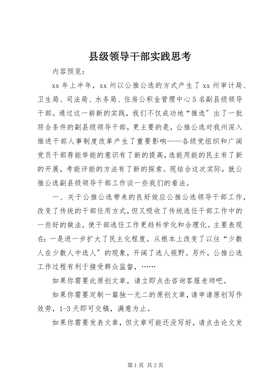 2023年县级领导干部实践思考.docx_第1页