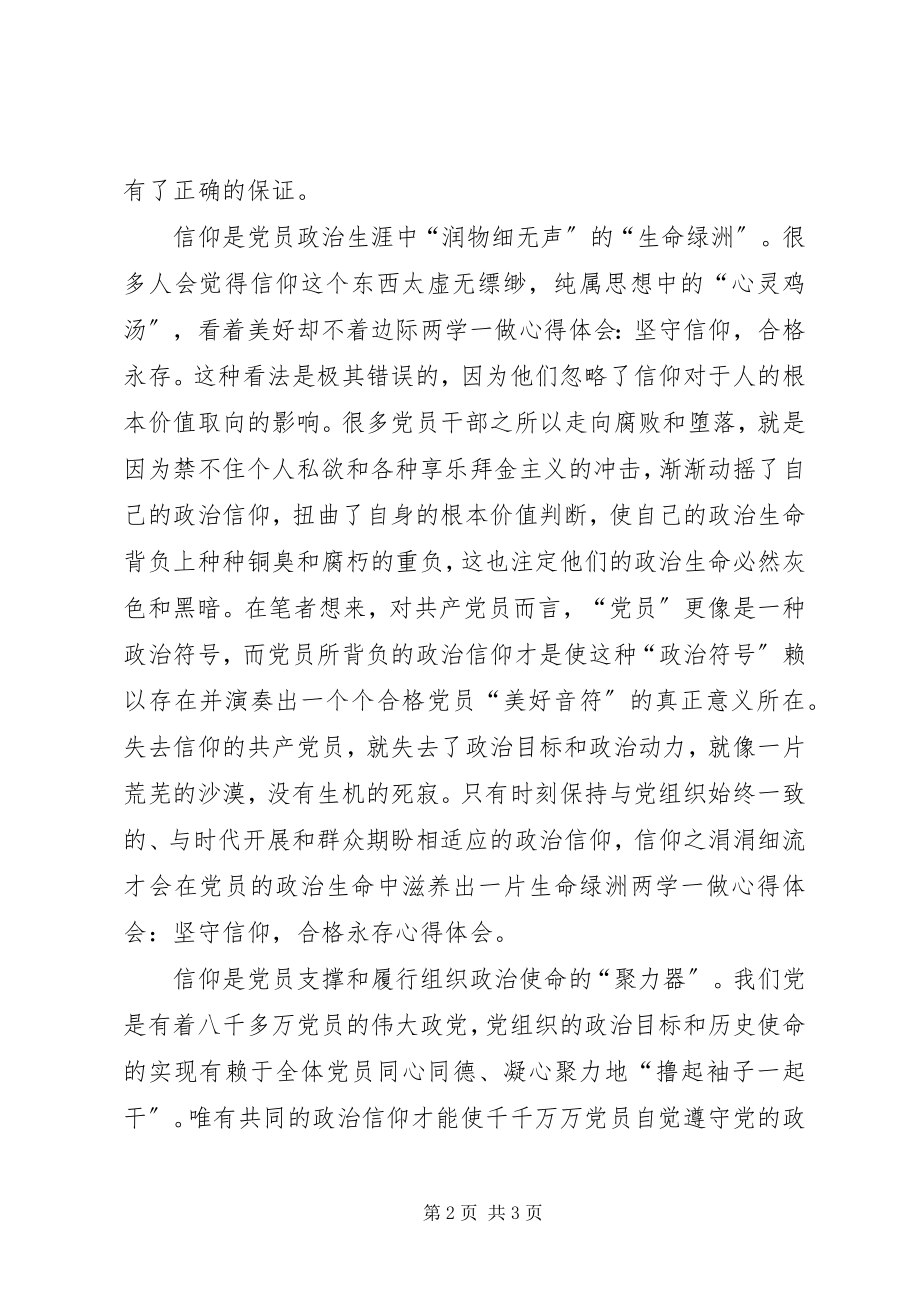 2023年两学一做心得体会坚守信仰合格永存.docx_第2页