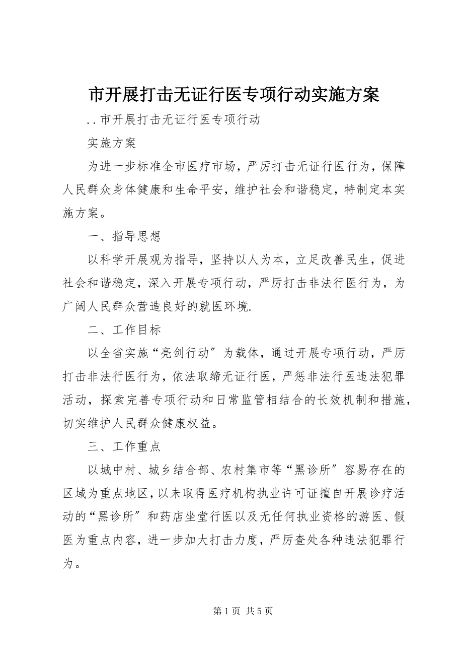 2023年市开展打击无证行医专项行动实施方案.docx_第1页