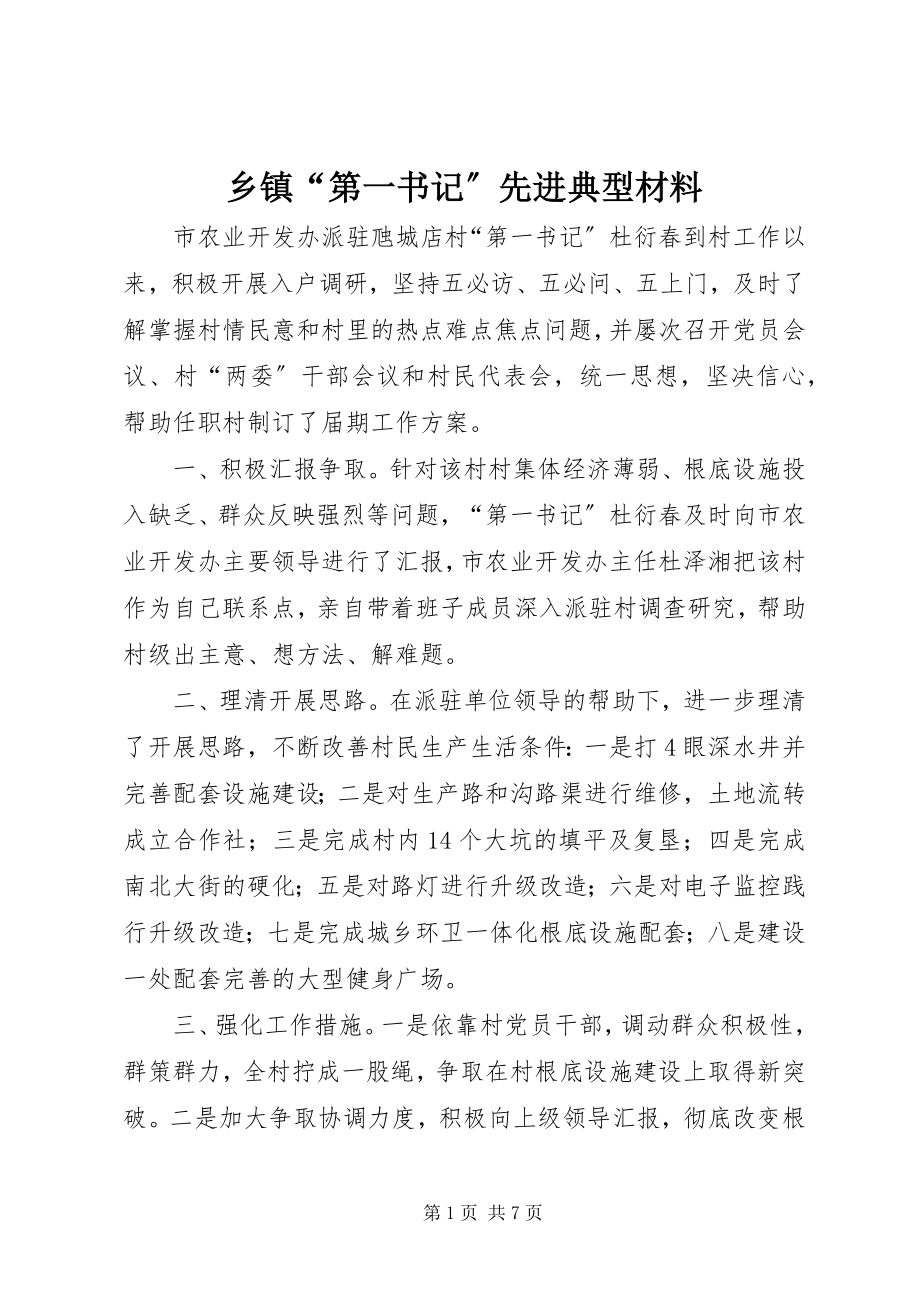 2023年乡镇“第一书记”先进典型材料.docx_第1页