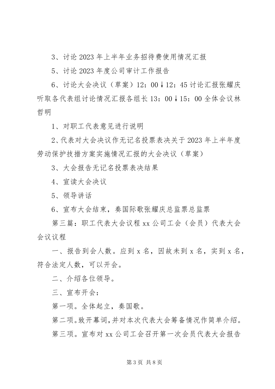 2023年职工代表大会议程安排.docx_第3页