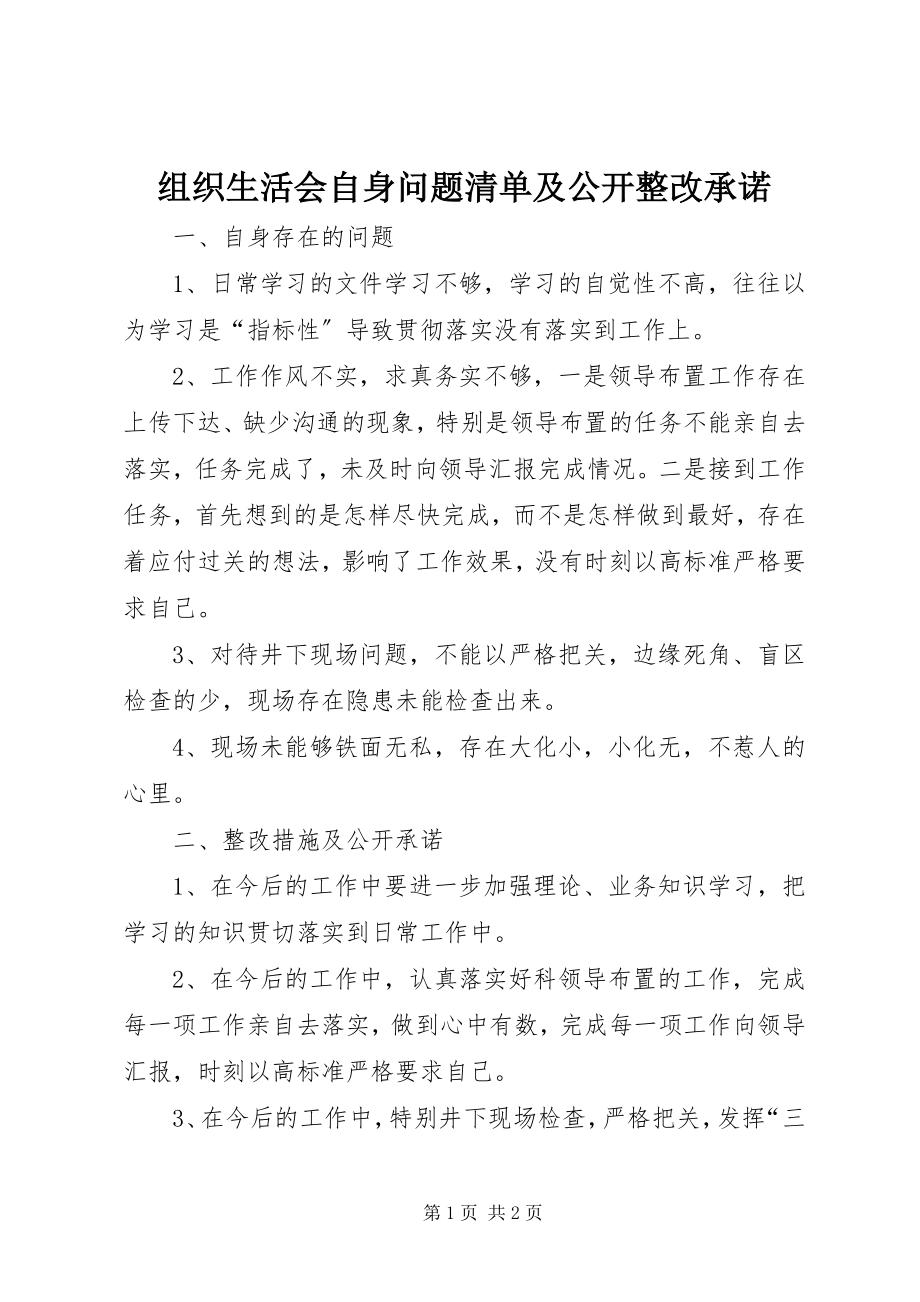 2023年组织生活会自身问题清单及公开整改承诺.docx_第1页