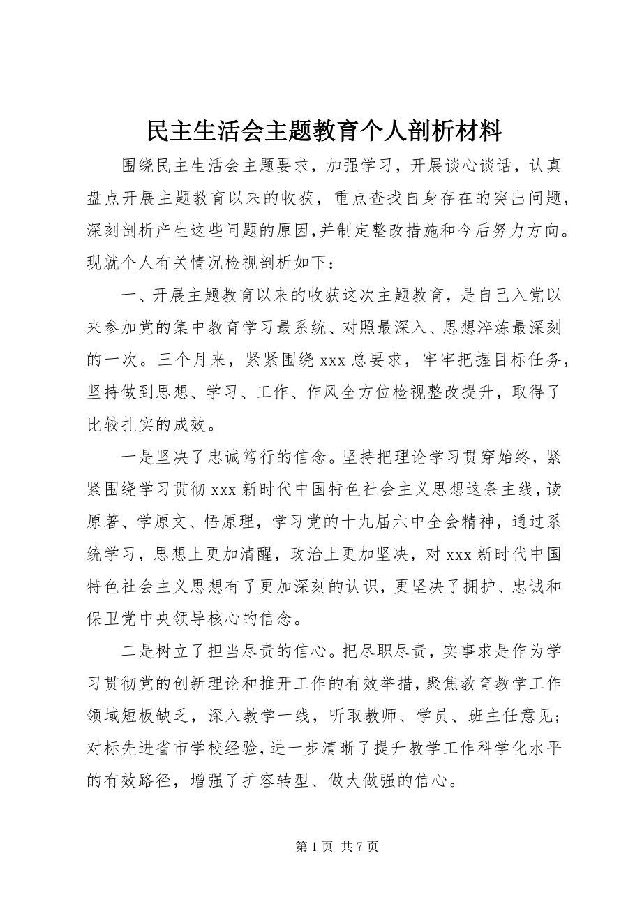 2023年民主生活会主题教育个人剖析材料.docx_第1页