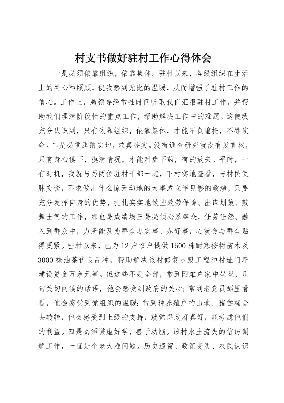 2023年村支书做好驻村工作心得体会新编.docx_第1页