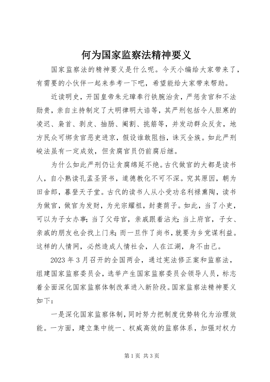 2023年何为国家监察法精神要义.docx_第1页