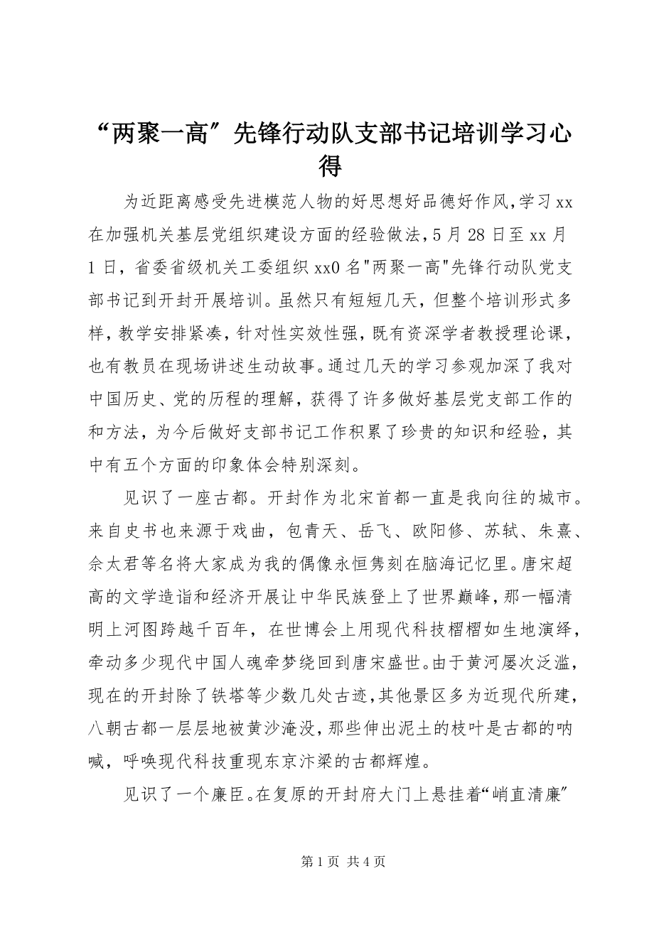 2023年两聚一高先锋行动队支部书记培训学习心得.docx_第1页