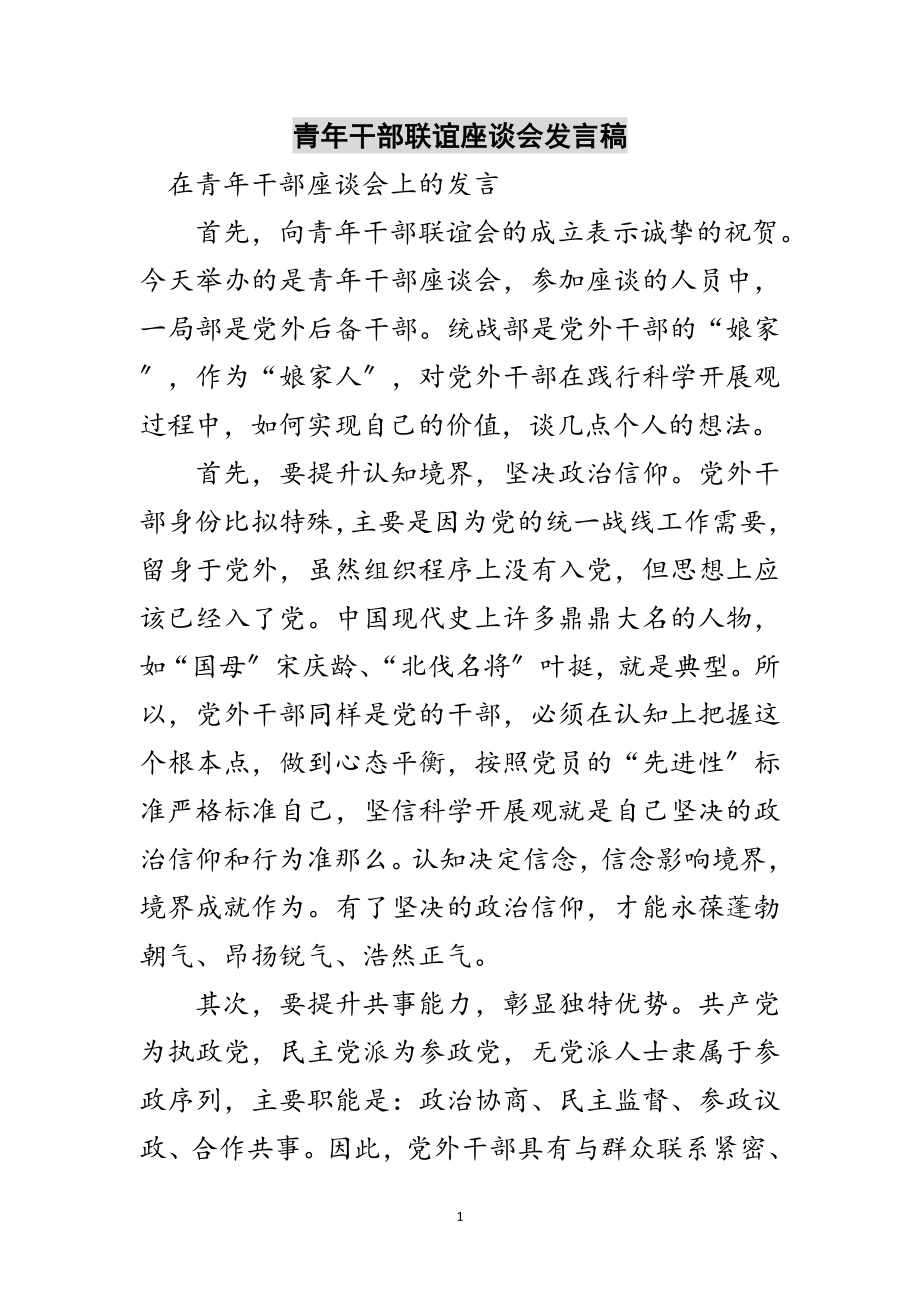 2023年青年干部联谊座谈会发言稿范文.doc_第1页