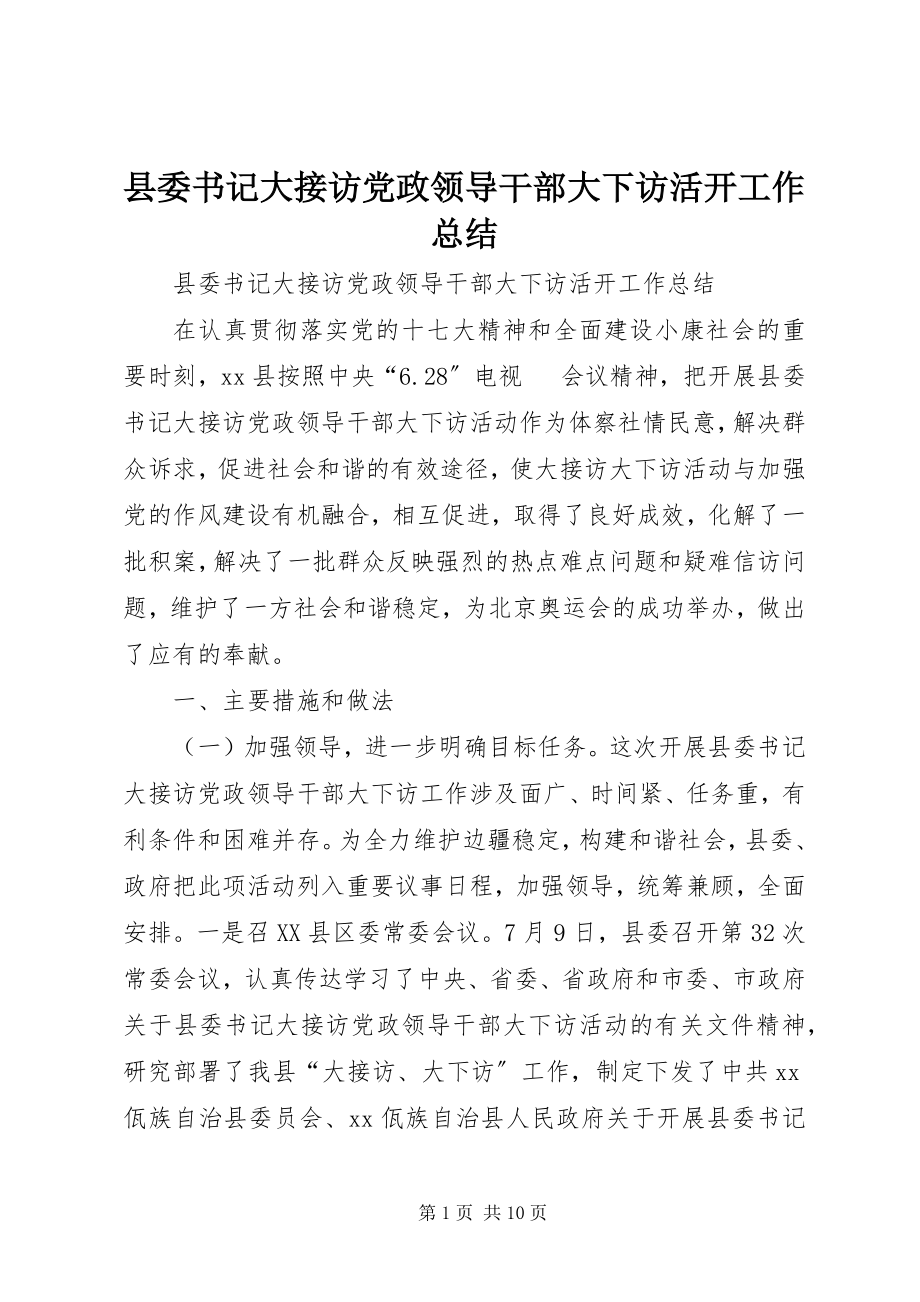 2023年县委书记大接访党政领导干部大下访活动工作总结.docx_第1页