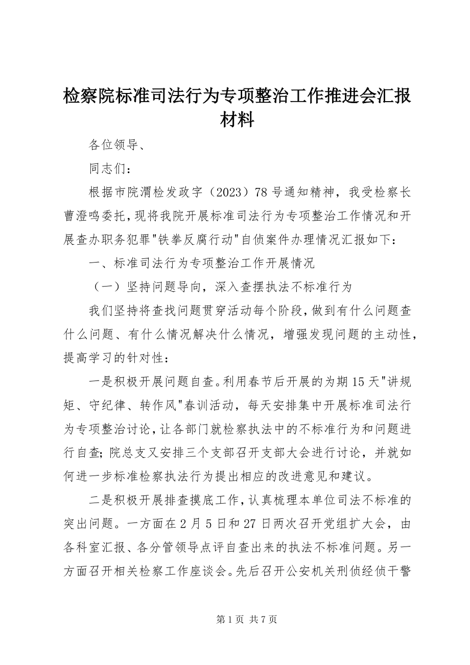 2023年检察院规范司法行为专项整治工作推进会汇报材料.docx_第1页