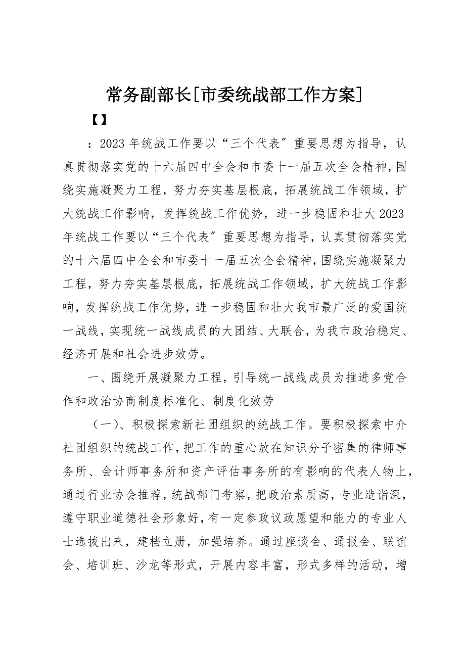 2023年常务副部长[市委统战部工作计划]新编.docx_第1页