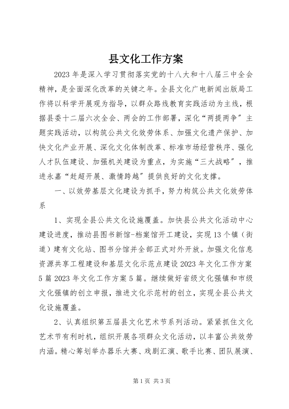 2023年县文化工作计划.docx_第1页