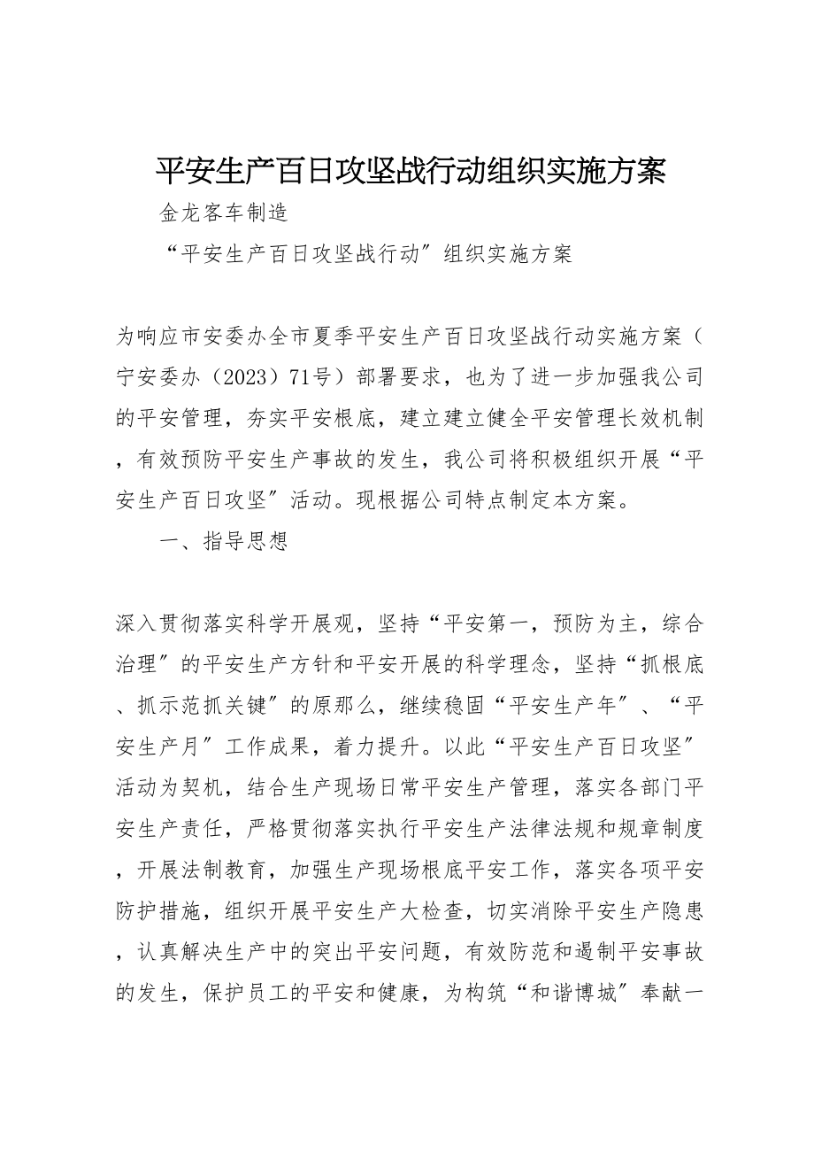 2023年安全生产百日攻坚战行动组织实施方案.doc_第1页