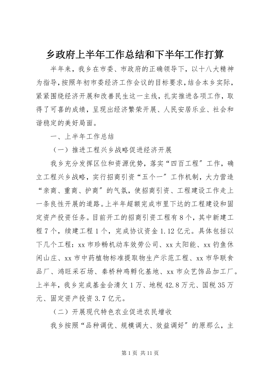 2023年乡政府上半年工作总结和下半年工作打算.docx_第1页