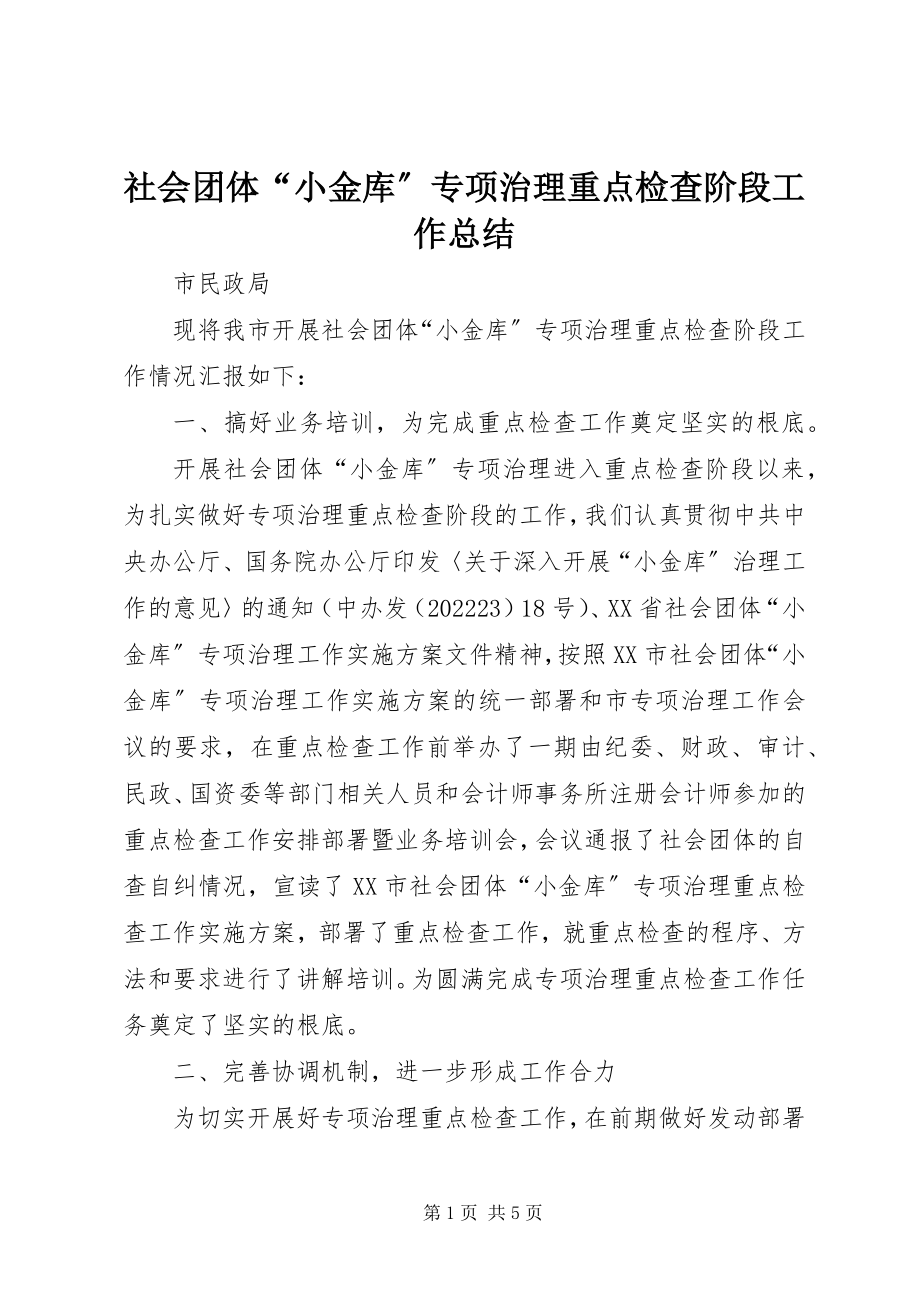 2023年社会团体“小金库”专项治理重点检查阶段工作总结.docx_第1页