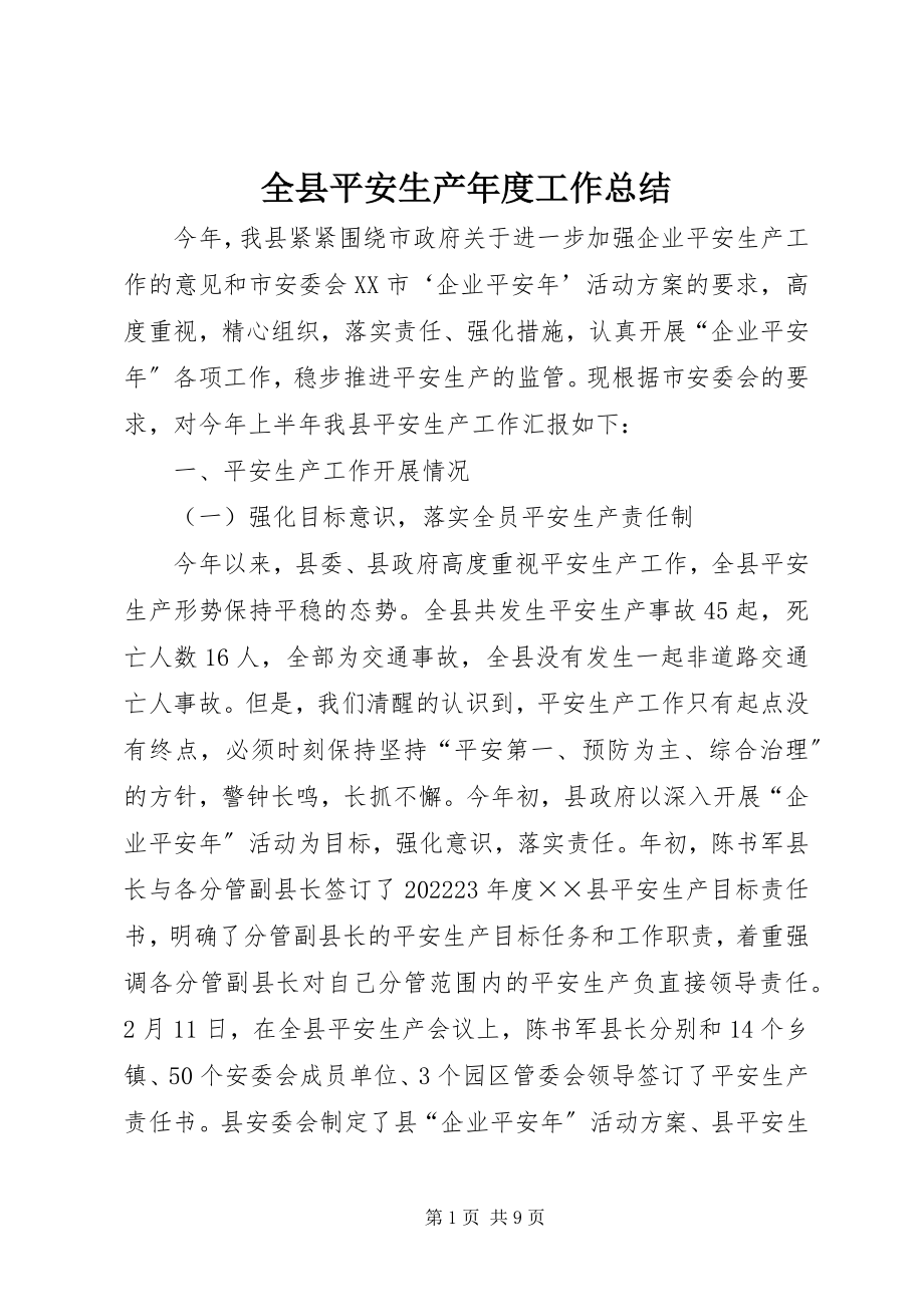 2023年全县安全生产年度工作总结.docx_第1页