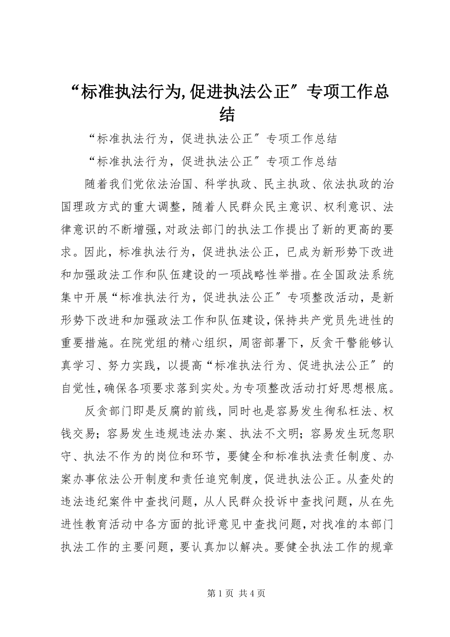 2023年规范执法行为促进执法公正专项工作总结.docx_第1页