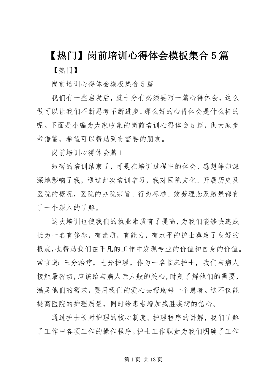 2023年热门岗前培训心得体会模板集合5篇新编.docx_第1页