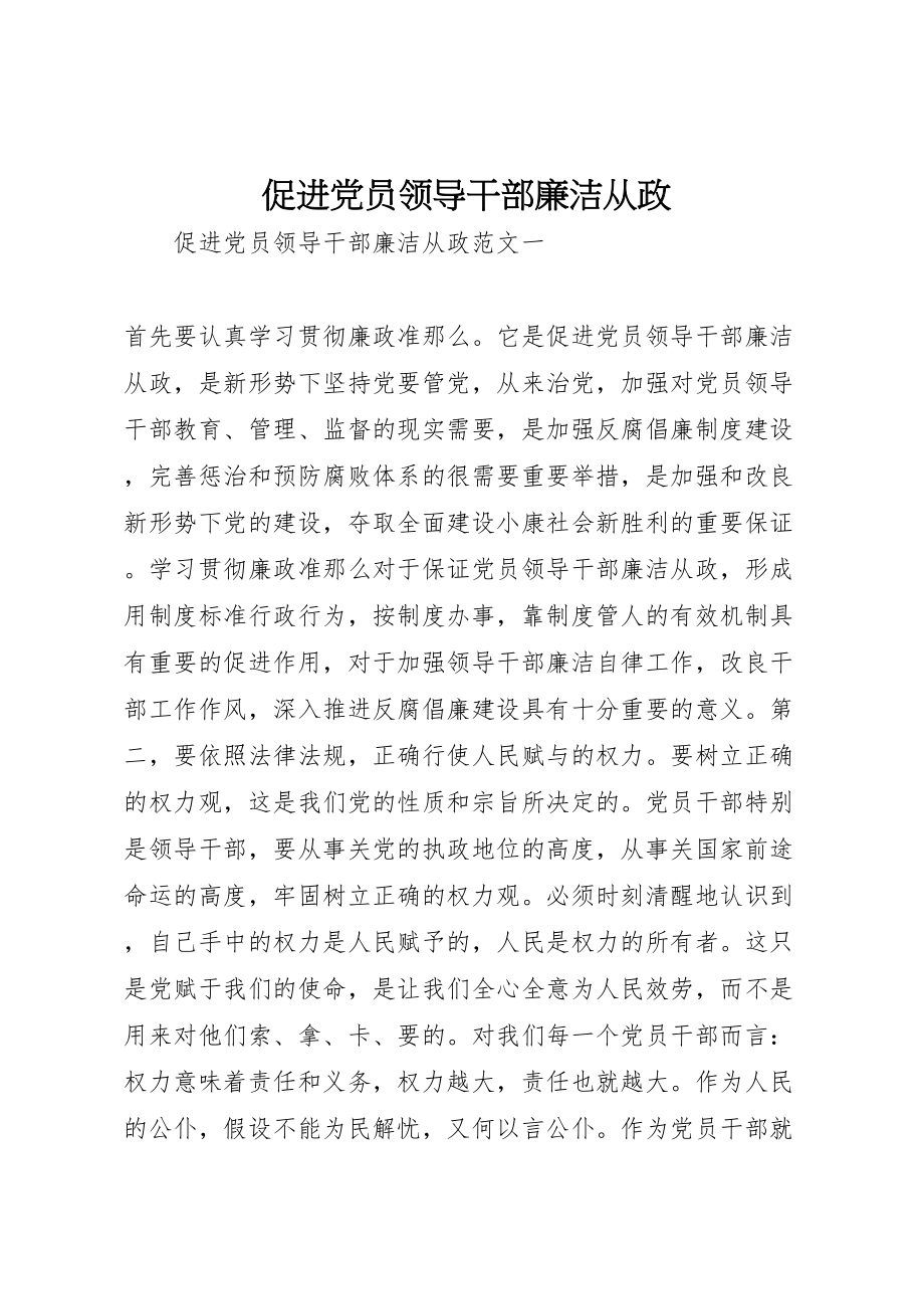 2023年促进党员领导干部廉洁从政.doc_第1页