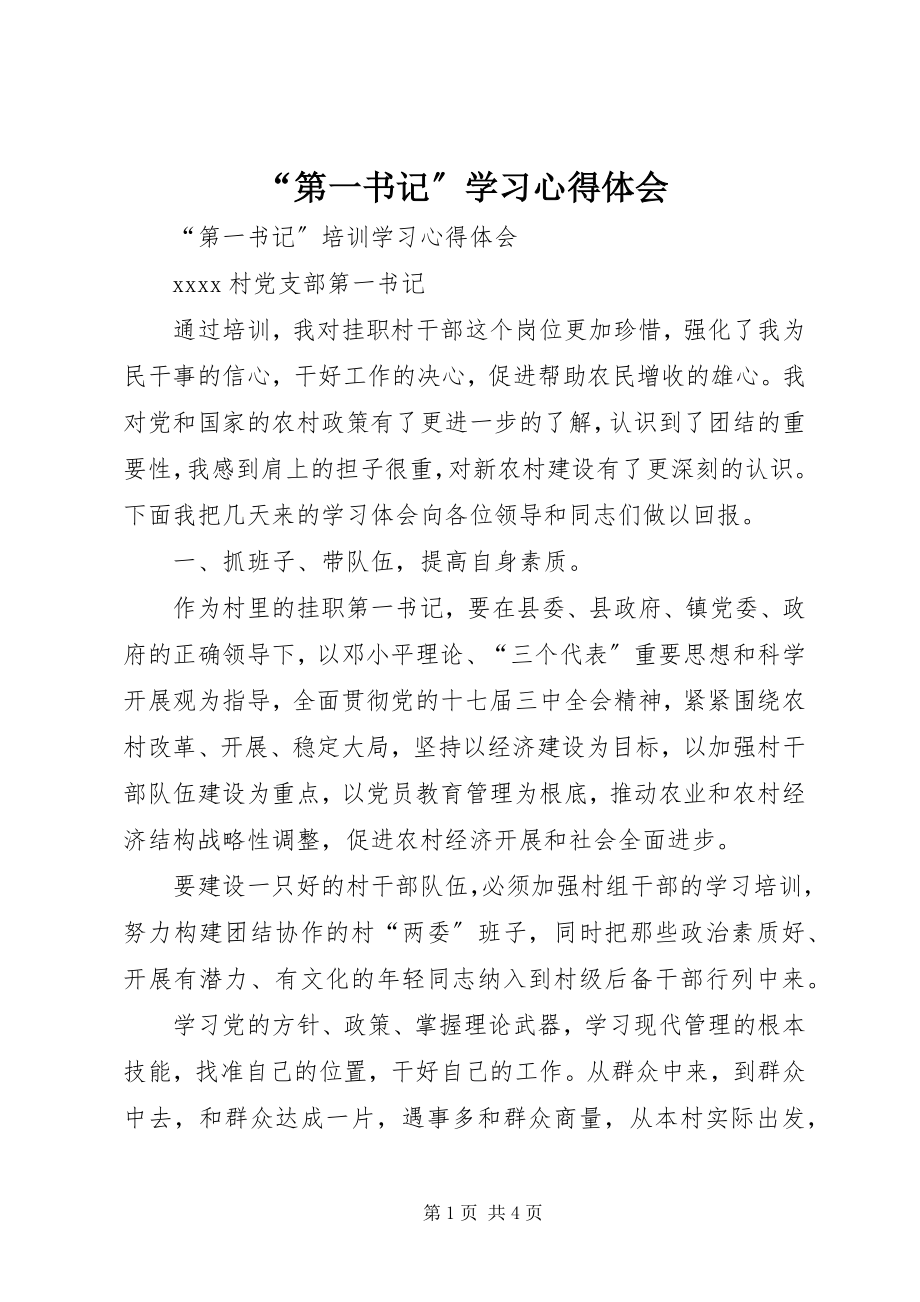 2023年第一书记学习心得体会.docx_第1页