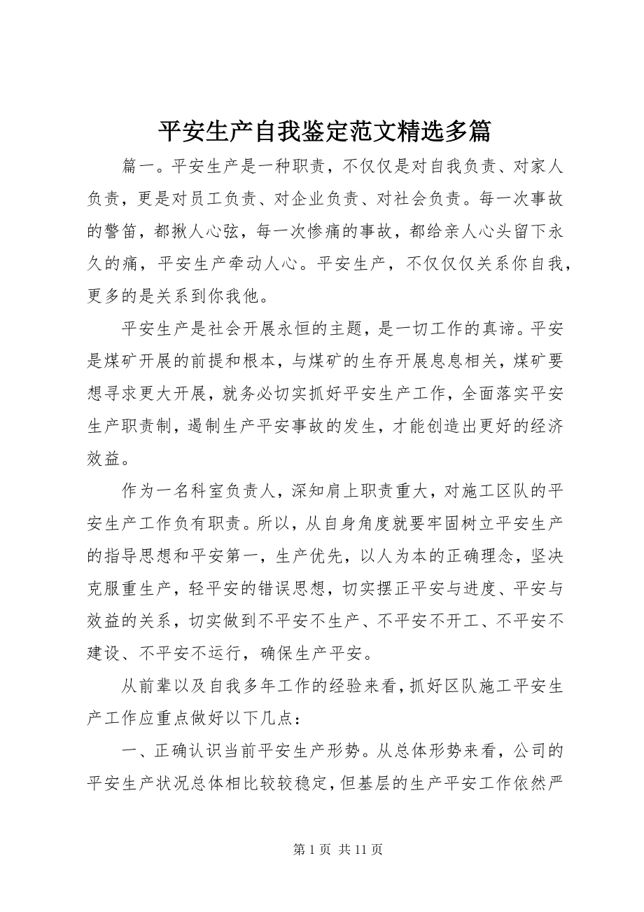 2023年安全生产自我鉴定精选多篇新编.docx_第1页