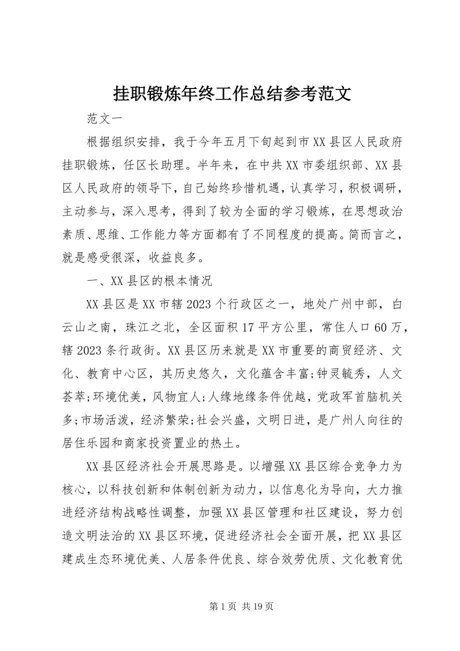 2023年挂职锻炼年终工作总结参考.docx_第1页